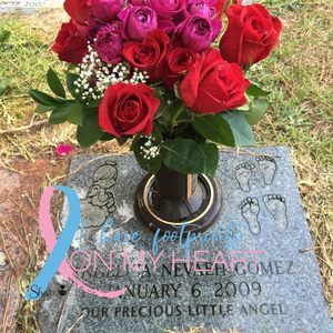 Meet your Posher, Krystal